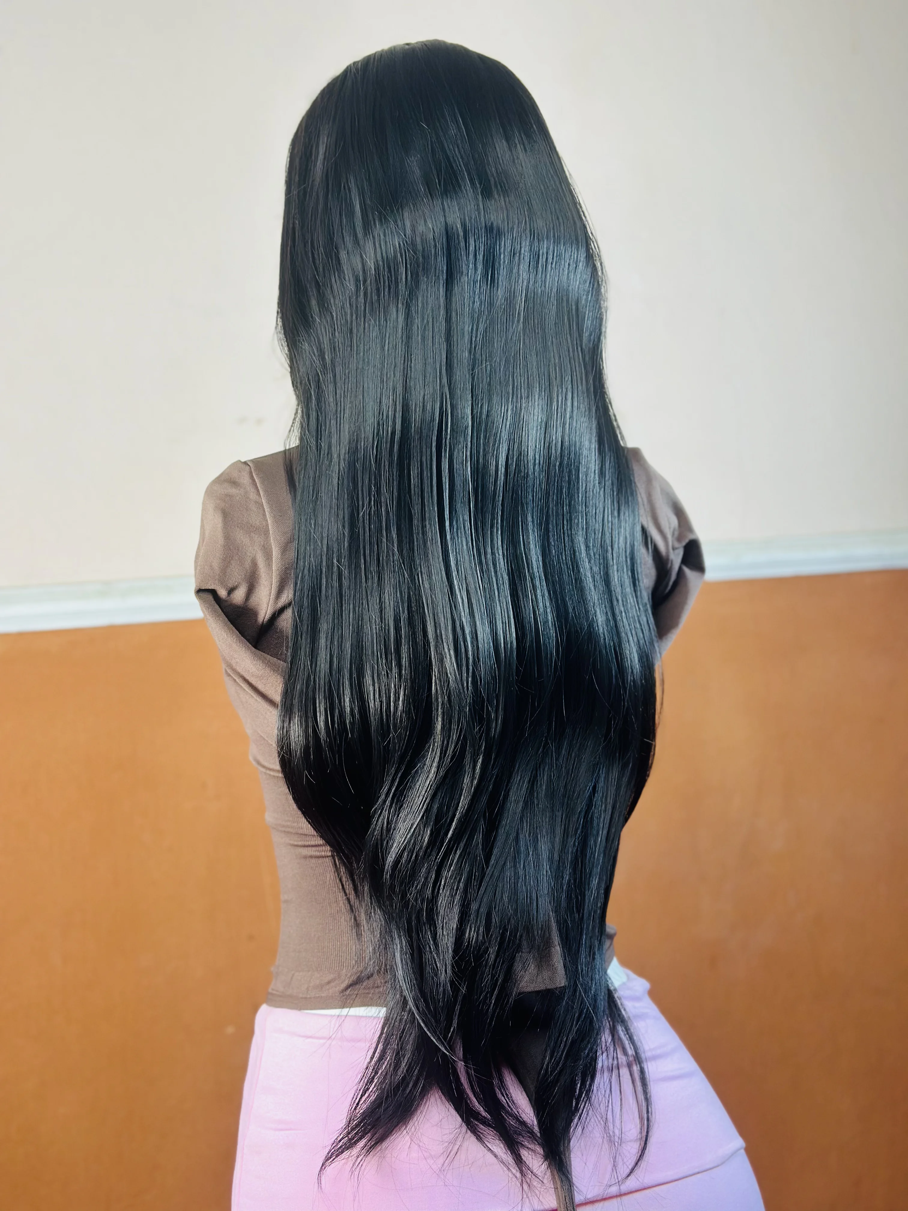 22inch Full Closure Black Straight Wig